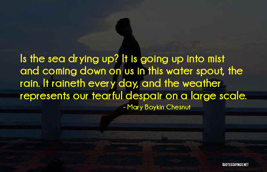 Drying Quotes By Mary Boykin Chesnut Drying Quotes By Mary Boykin Chesnut