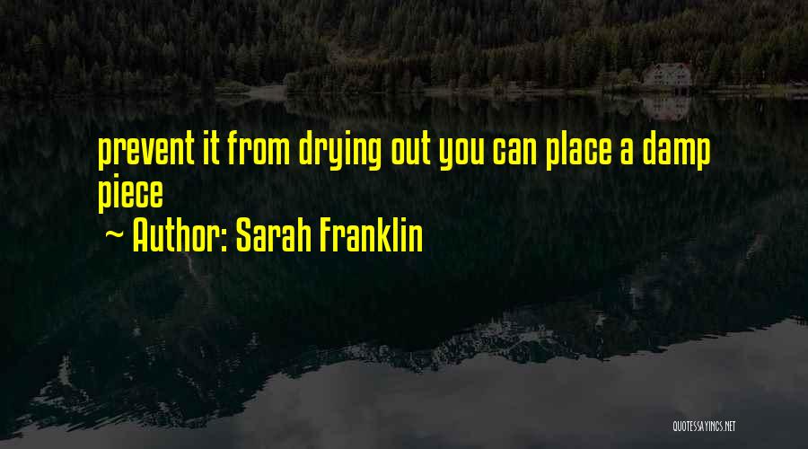 Drying Quotes By Sarah Franklin