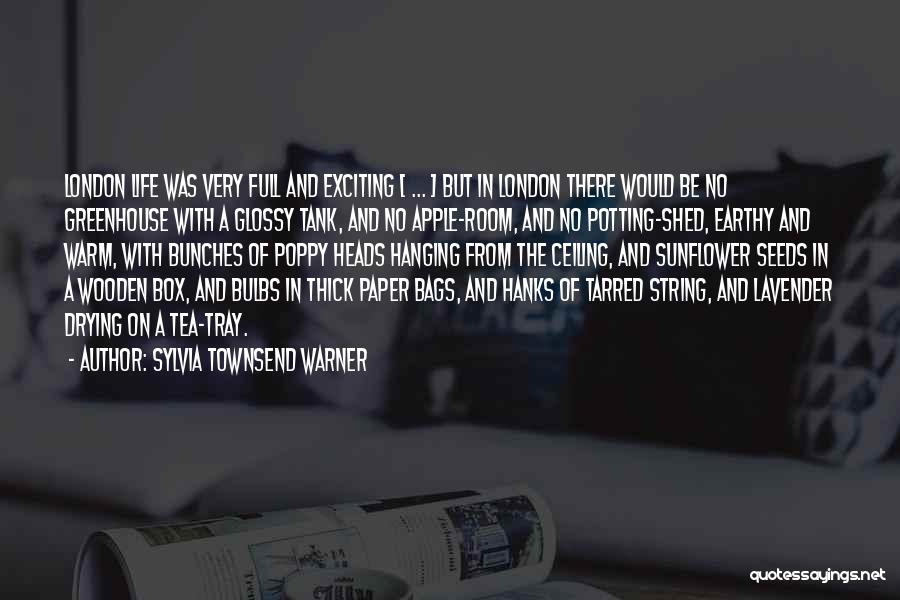 Drying Quotes By Sylvia Townsend Warner