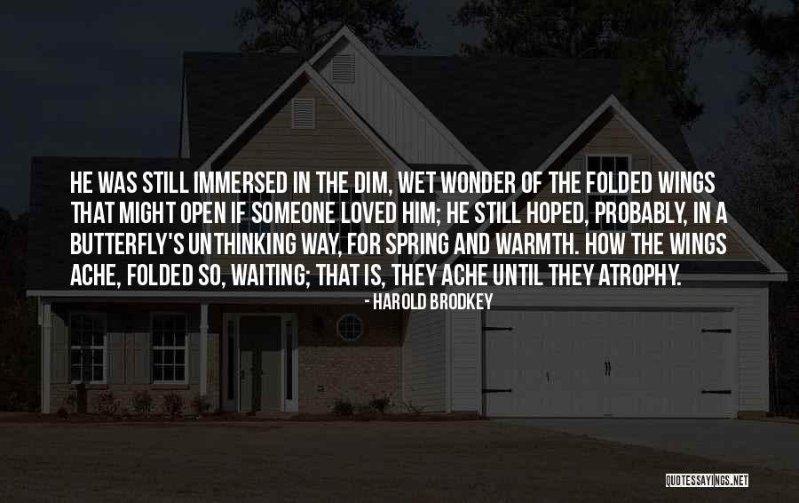 Dryness Cracks The Heart Quotes By Harold Brodkey Dryness Cracks The Heart Quotes By Harold Brodkey