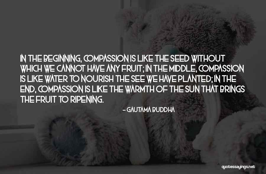 Dshondra Quotes By Gautama Buddha Dshondra Quotes By Gautama Buddha