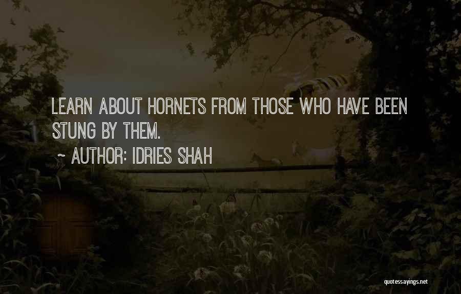 Dsm Car Quotes By Idries Shah