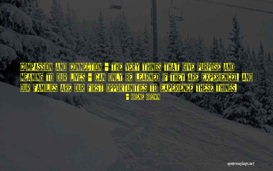 Dss Quotes By Brene Brown Dss Quotes By Brene Brown