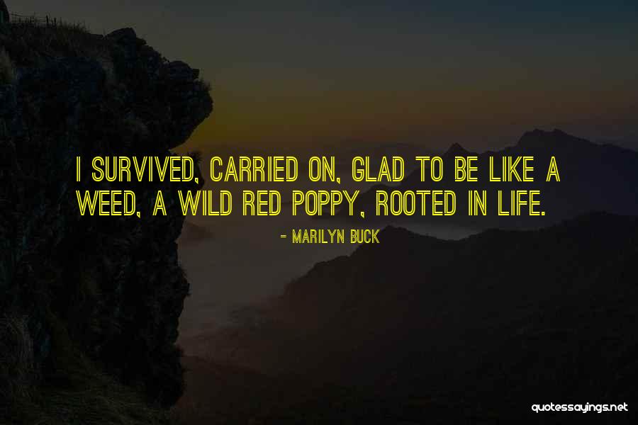Dss Racing Quotes By Marilyn Buck Dss Racing Quotes By Marilyn Buck