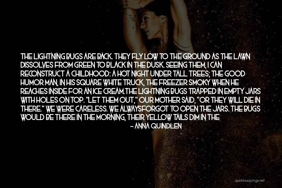 Dt Tire Quotes By Anna Quindlen Dt Tire Quotes By Anna Quindlen