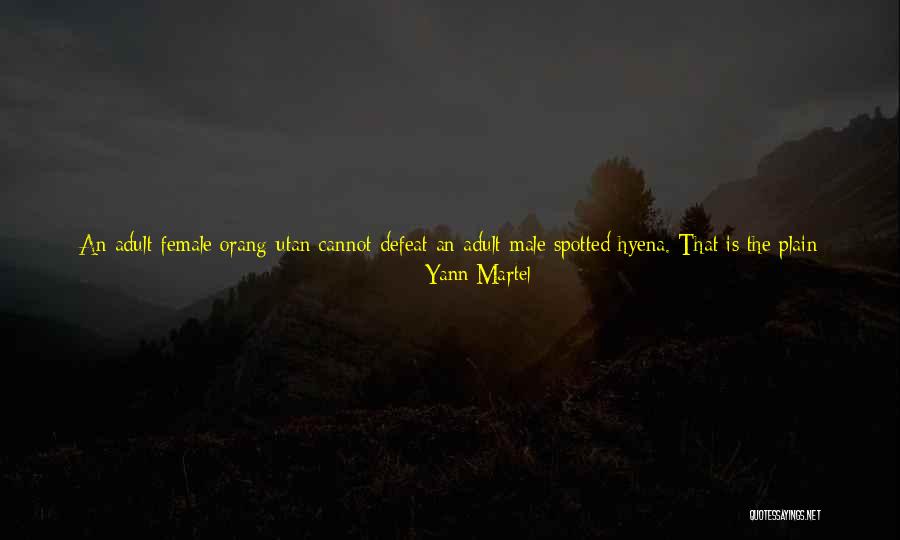 Dtester Quotes By Yann Martel Dtester Quotes By Yann Martel