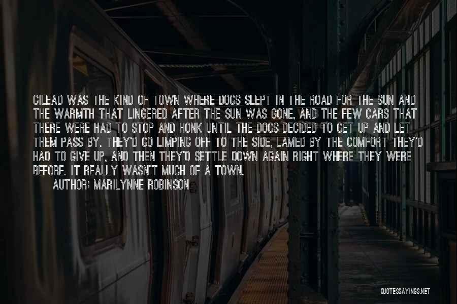 D'town Quotes By Marilynne Robinson