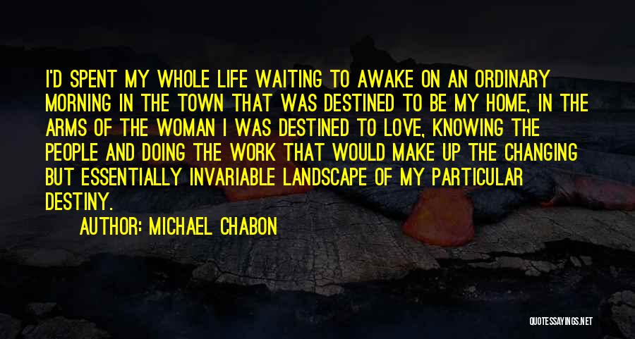 D'town Quotes By Michael Chabon