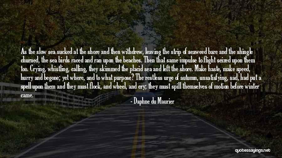 Du Maurier Quotes By Daphne Du Maurier