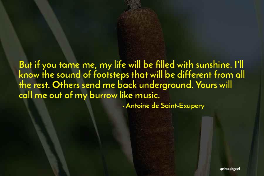Dua For Shifa Quotes By Antoine De Saint-Exupery Dua For Shifa Quotes By Antoine De Saint-Exupery