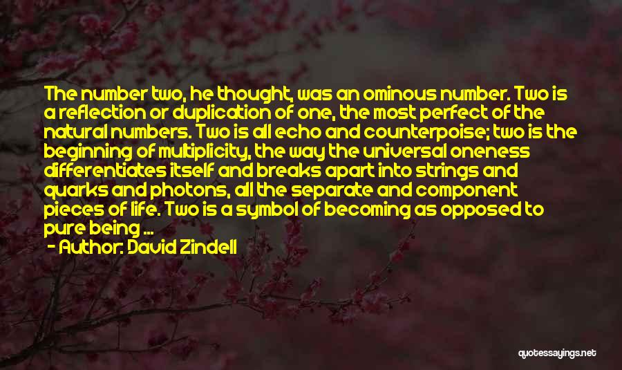 Dualism Quotes By David Zindell