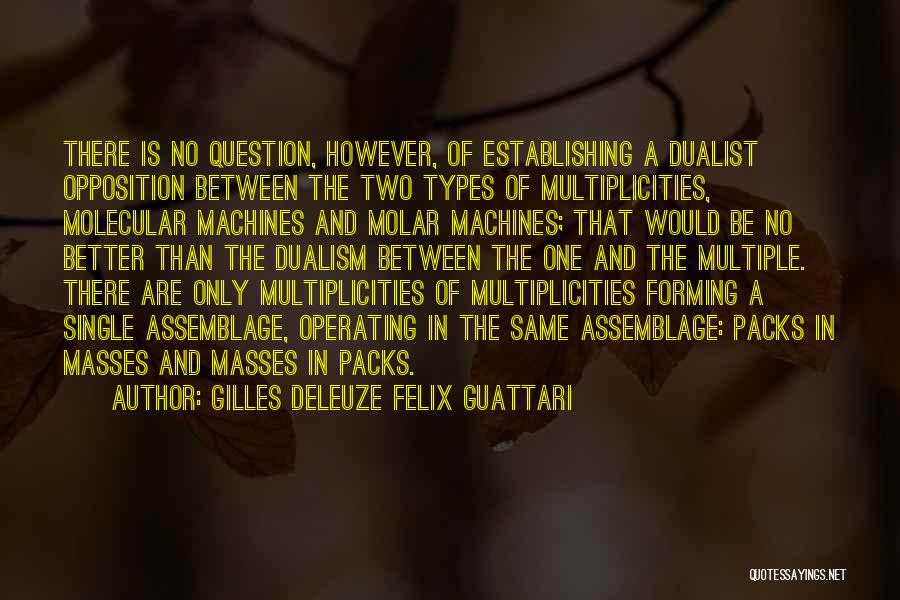 Dualism Quotes By Gilles Deleuze Felix Guattari