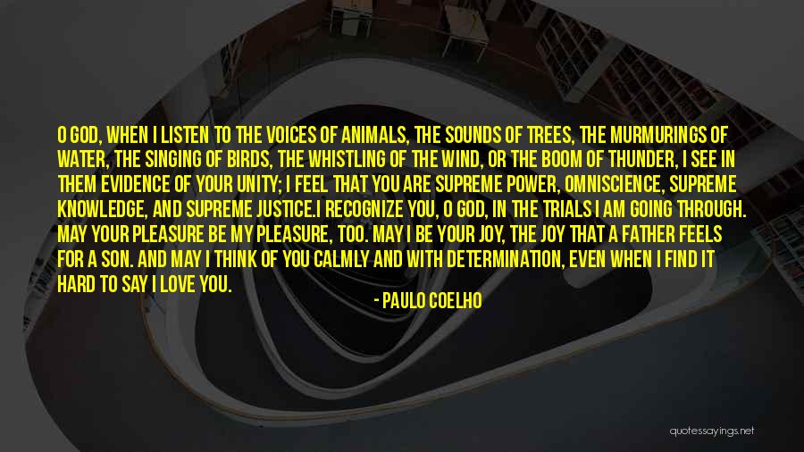 Dualists Machine Quotes By Paulo Coelho Dualists Machine Quotes By Paulo Coelho