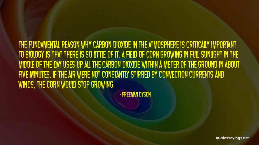 Dualities Toaster Quotes By Freeman Dyson Dualities Toaster Quotes By Freeman Dyson