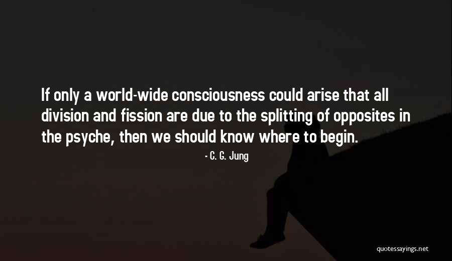 Duality Of Opposites Quotes By C. G. Jung