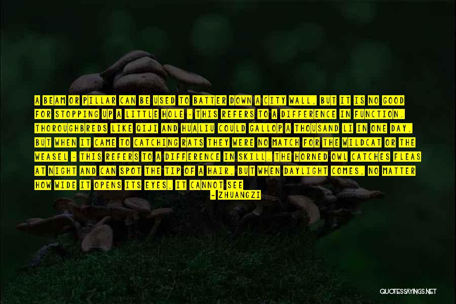 Duality Of Opposites Quotes By Zhuangzi Duality Of Opposites Quotes By Zhuangzi