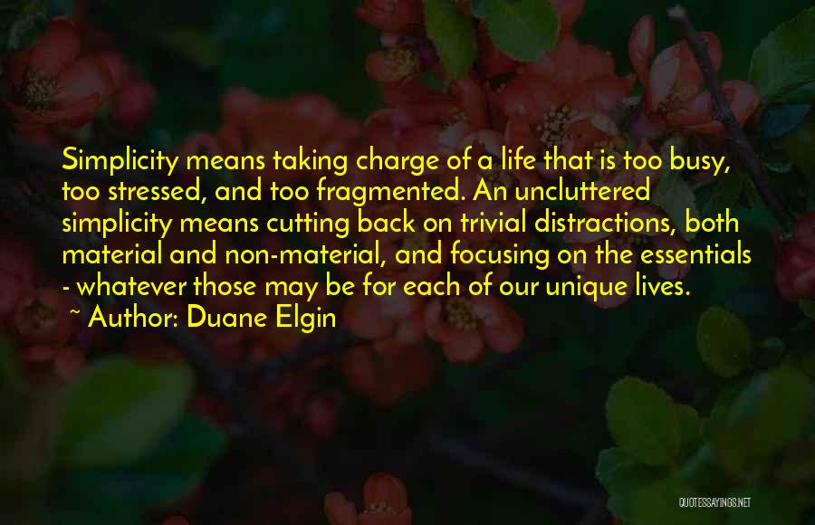 Duane Elgin Quotes 1120932