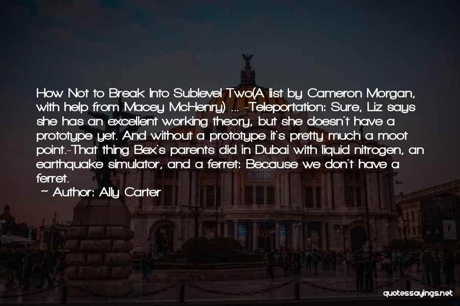 Dubai Quotes By Ally Carter
