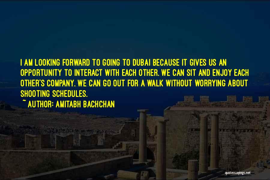 Dubai Quotes By Amitabh Bachchan
