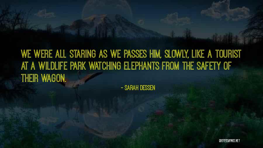 Dubbio Sinonimi Quotes By Sarah Dessen Dubbio Sinonimi Quotes By Sarah Dessen