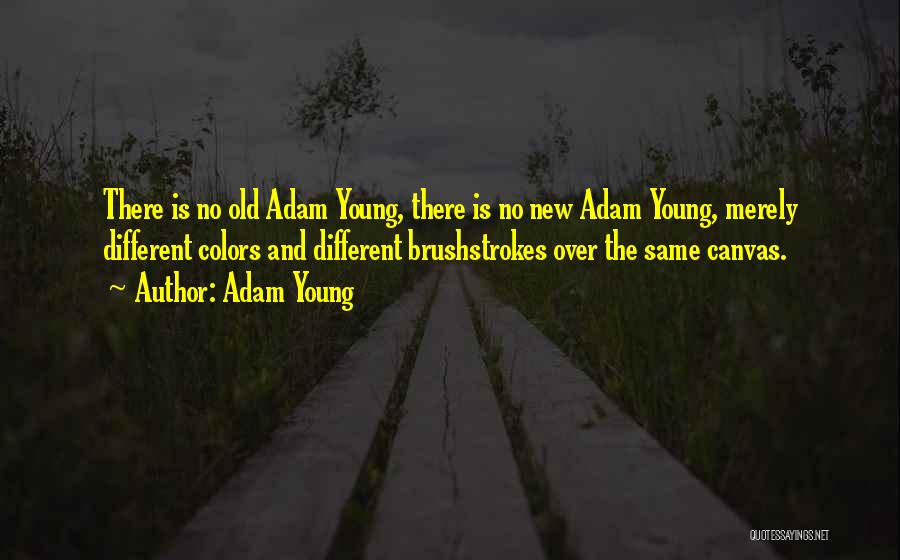 Dubbo Project Quotes By Adam Young