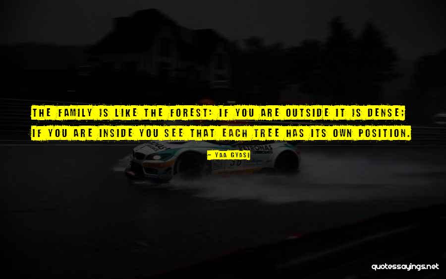 Duberstein Case Quotes By Yaa Gyasi Duberstein Case Quotes By Yaa Gyasi