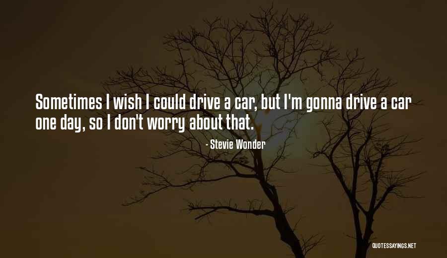 Dubhappytv Quotes By Stevie Wonder