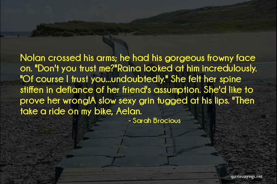 Dubhghaill Quotes By Sarah Brocious Dubhghaill Quotes By Sarah Brocious