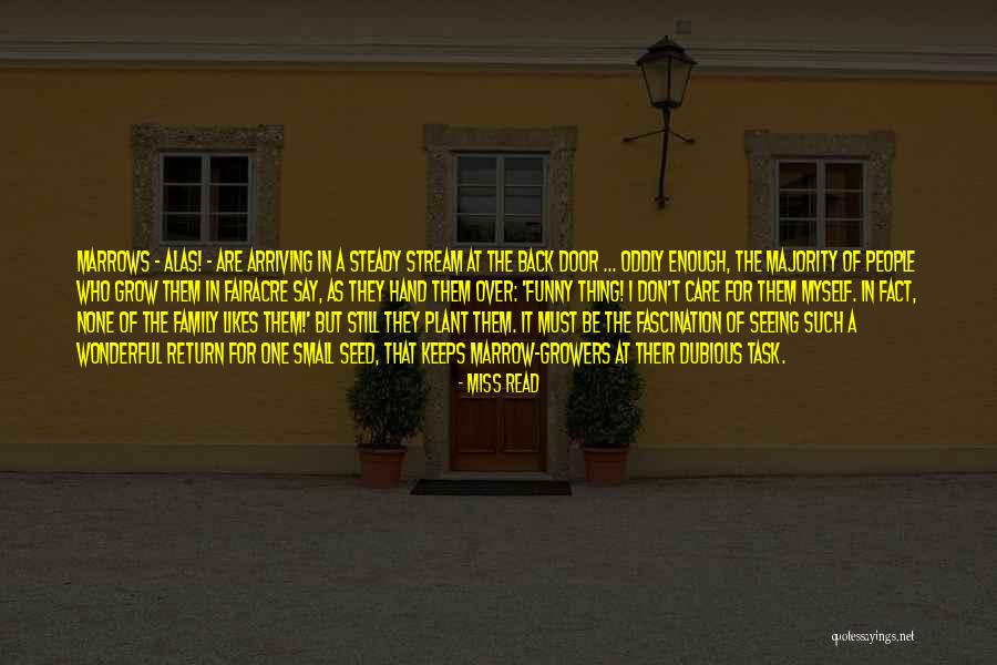 Dubious Quotes By Miss Read Dubious Quotes By Miss Read