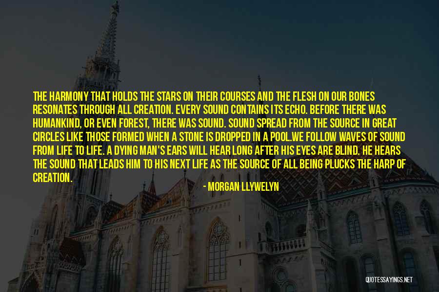 Dubner Freakonomics Quotes By Morgan Llywelyn Dubner Freakonomics Quotes By Morgan Llywelyn