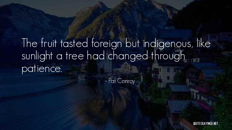 Duboko Disanje Quotes By Pat Conroy Duboko Disanje Quotes By Pat Conroy