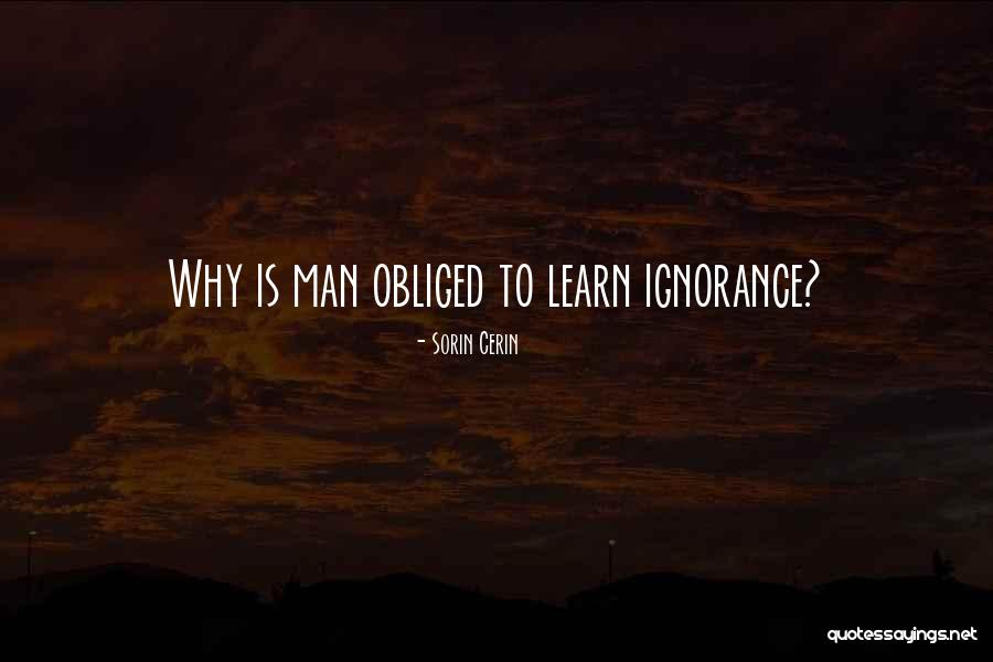 Duboyce Quotes By Sorin Cerin Duboyce Quotes By Sorin Cerin