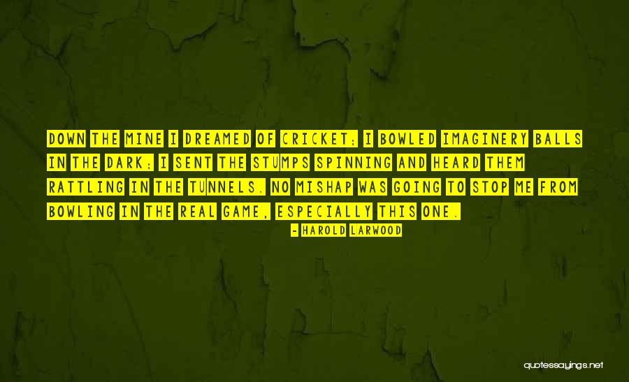 Dubstepgutter Quotes By Harold Larwood Dubstepgutter Quotes By Harold Larwood