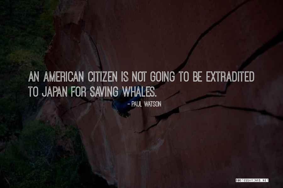 Ducceschi Alabaster Quotes By Paul Watson