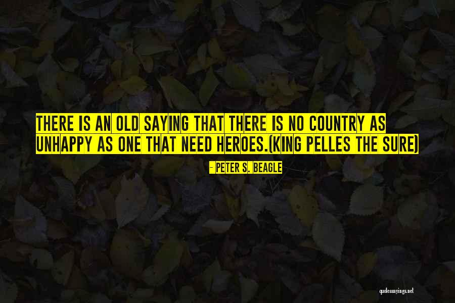 Duchas Electricas Quotes By Peter S. Beagle Duchas Electricas Quotes By Peter S. Beagle