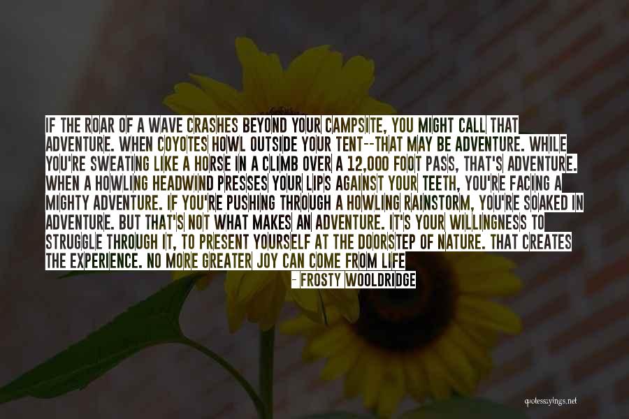 Ducheine Quotes By Frosty Wooldridge Ducheine Quotes By Frosty Wooldridge
