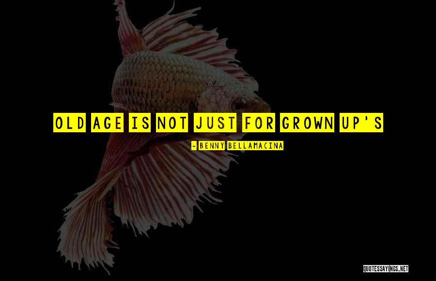 Duck Hunting Dogs Quotes By Benny Bellamacina Duck Hunting Dogs Quotes By Benny Bellamacina