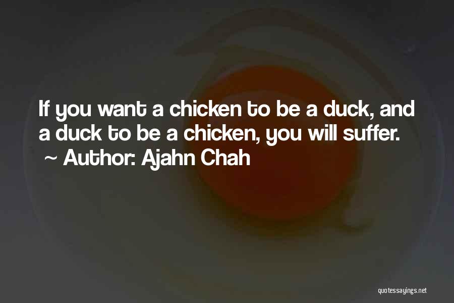 Duck Quotes By Ajahn Chah