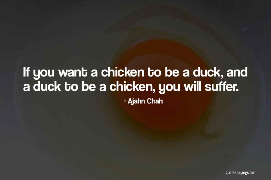 Duck Quotes By Ajahn Chah