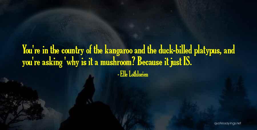 Duck Quotes By Elle Lothlorien