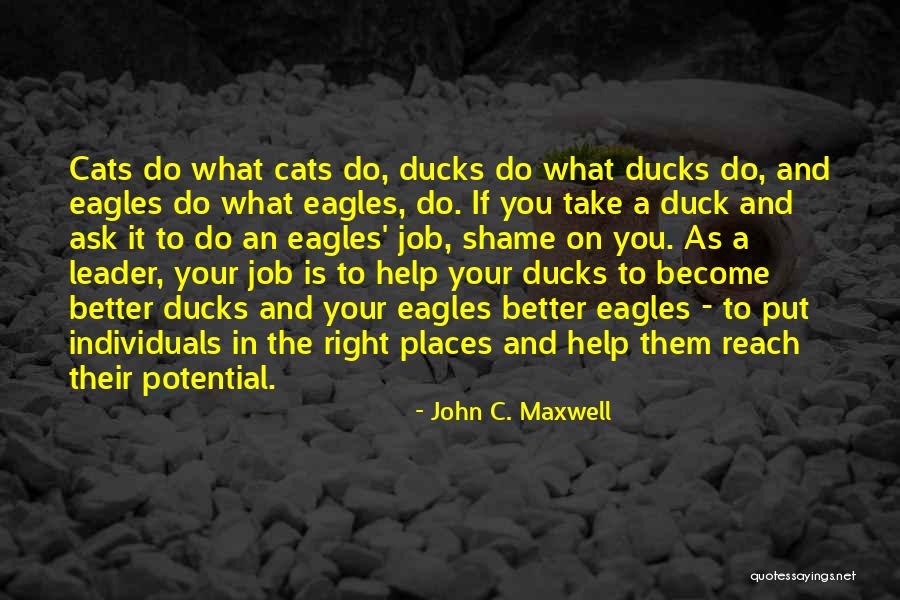 Duck Quotes By John C. Maxwell