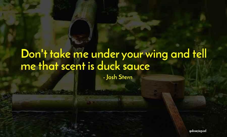 Duck Quotes By Josh Stern