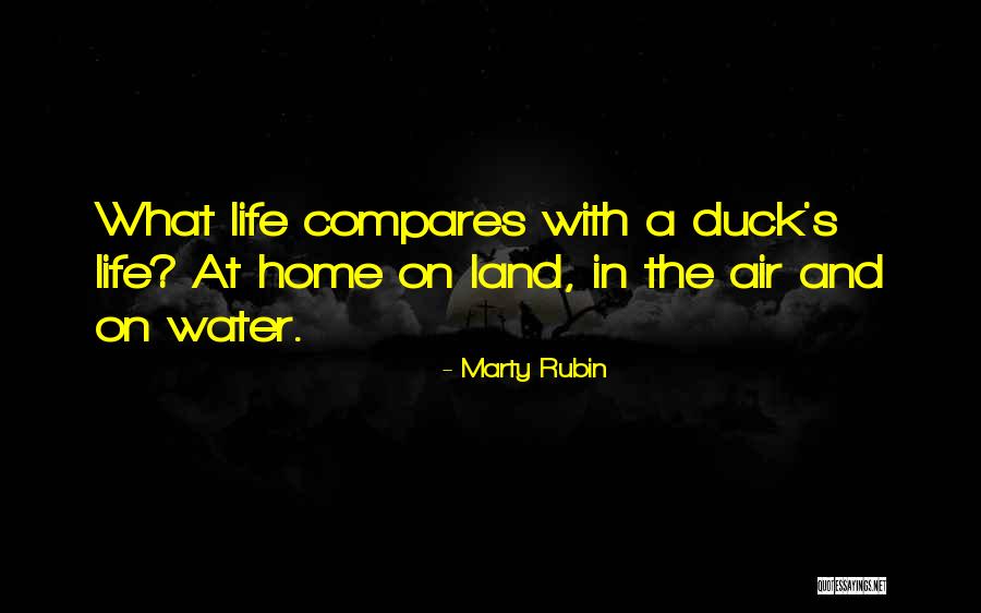 Duck Quotes By Marty Rubin