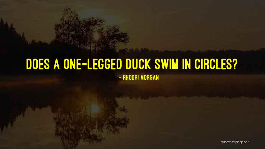 Duck Quotes By Rhodri Morgan