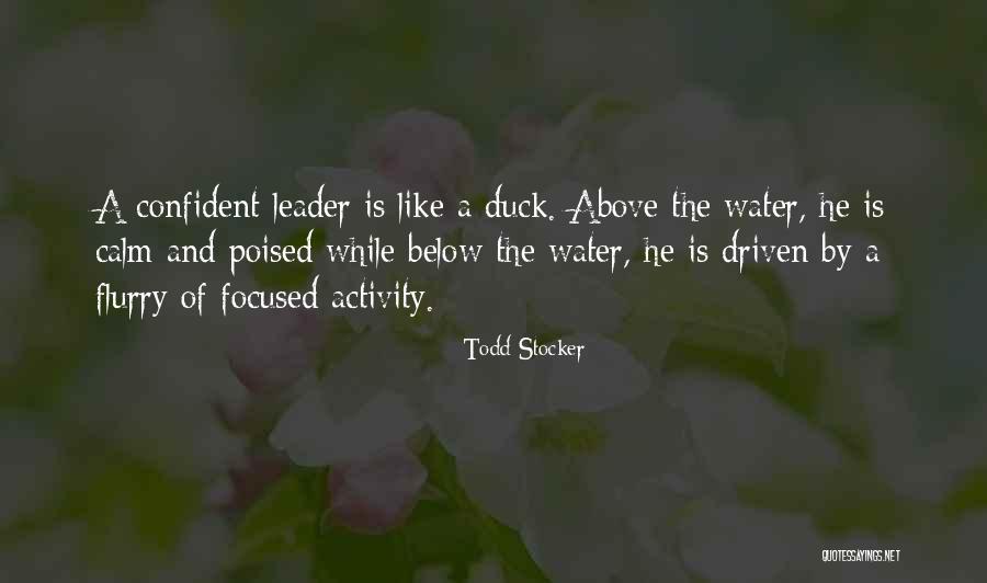 Duck Quotes By Todd Stocker