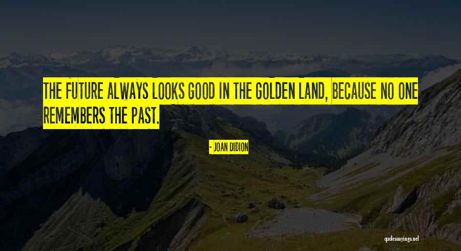 Ducks And Eagles Quotes By Joan Didion Ducks And Eagles Quotes By Joan Didion