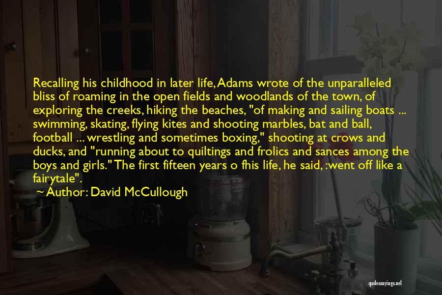Ducks Flying Quotes By David McCullough