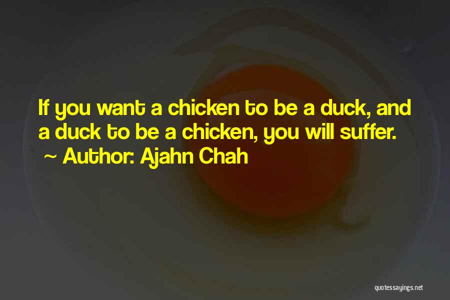 Ducks Quotes By Ajahn Chah