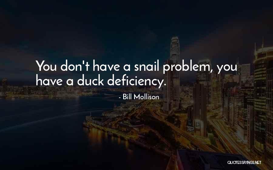 Ducks Quotes By Bill Mollison