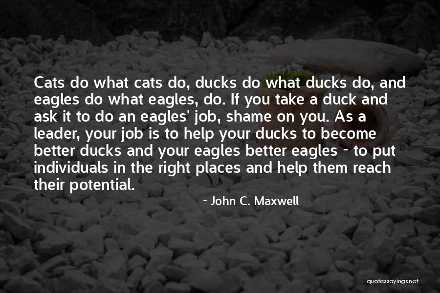 Ducks Quotes By John C. Maxwell